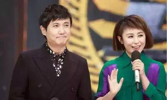 记者爆料沈腾马丽视频,幕后故事引热议